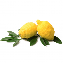 Sorrento Lemons