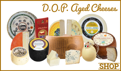 Italian D.O.P. Aged Cheeses